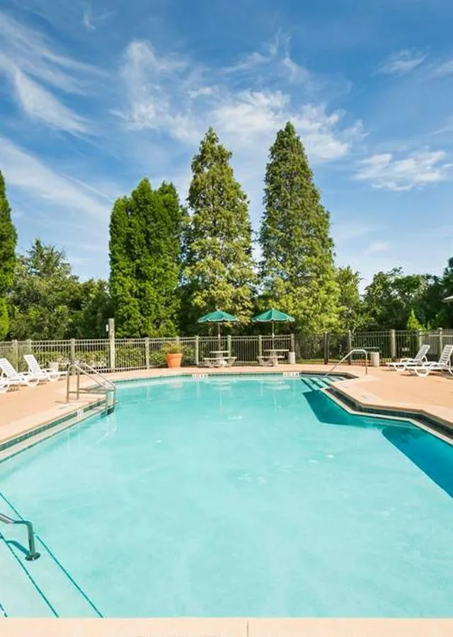 Inviting outdoor swimming pool with surrounding lush greenery, sun loungers, and shaded picnic tables under a bright blue sky.