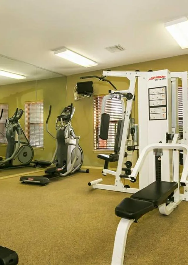 Modern apartment gym with state-of-the-art exercise equipment and large mirrors for an enhanced workout experience.
