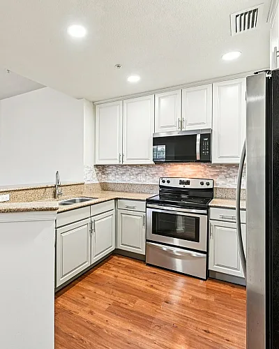 Bright, modern kitchen with sleek stainless steel appliances, elegant granite countertops, and warm wooden floors, perfect for contemporary living.
