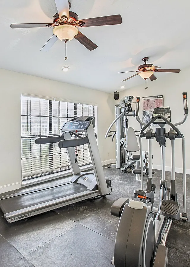 Bright and airy home gym with modern exercise equipment, ceiling fans, and natural light streaming through large windows.