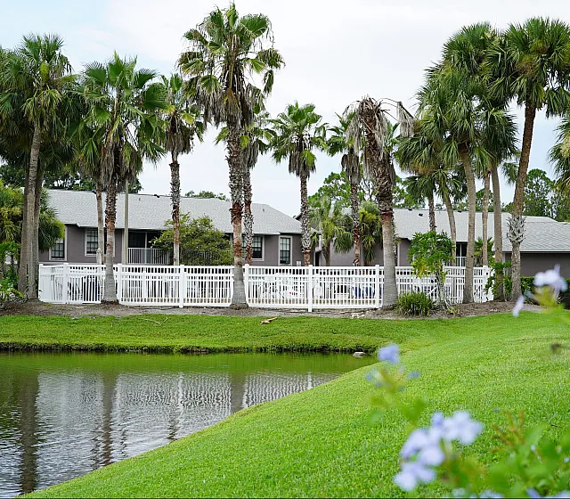 Charming lakeside apartment with lush palm trees and vibrant greenery, offering serene views and a cozy ambiance.