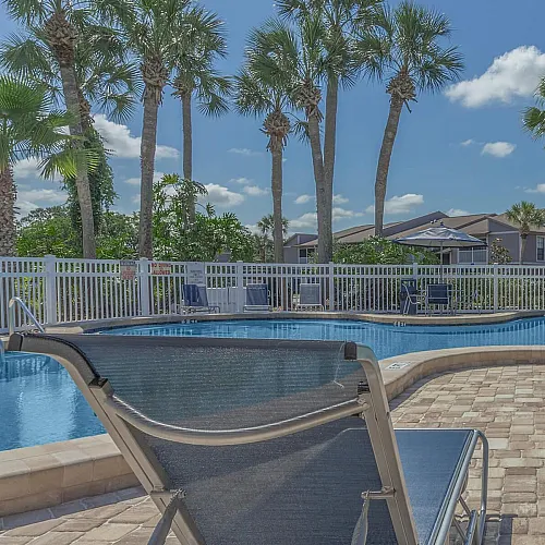 Luxurious poolside retreat with tropical palm trees and modern lounge chairs under a clear blue sky.