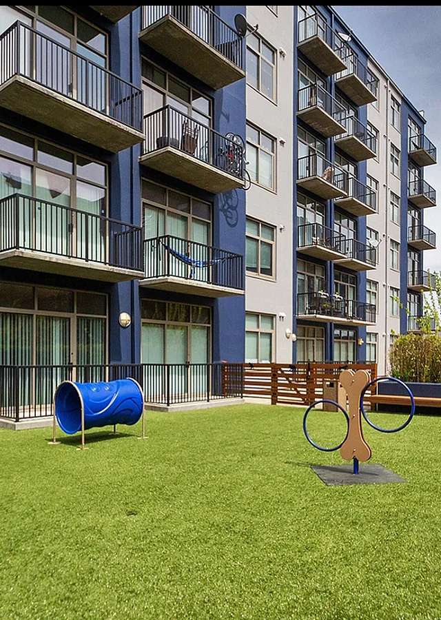 Modern apartment exterior with private balconies overlooking a lush, pet-friendly green space featuring a playful dog agility area.
