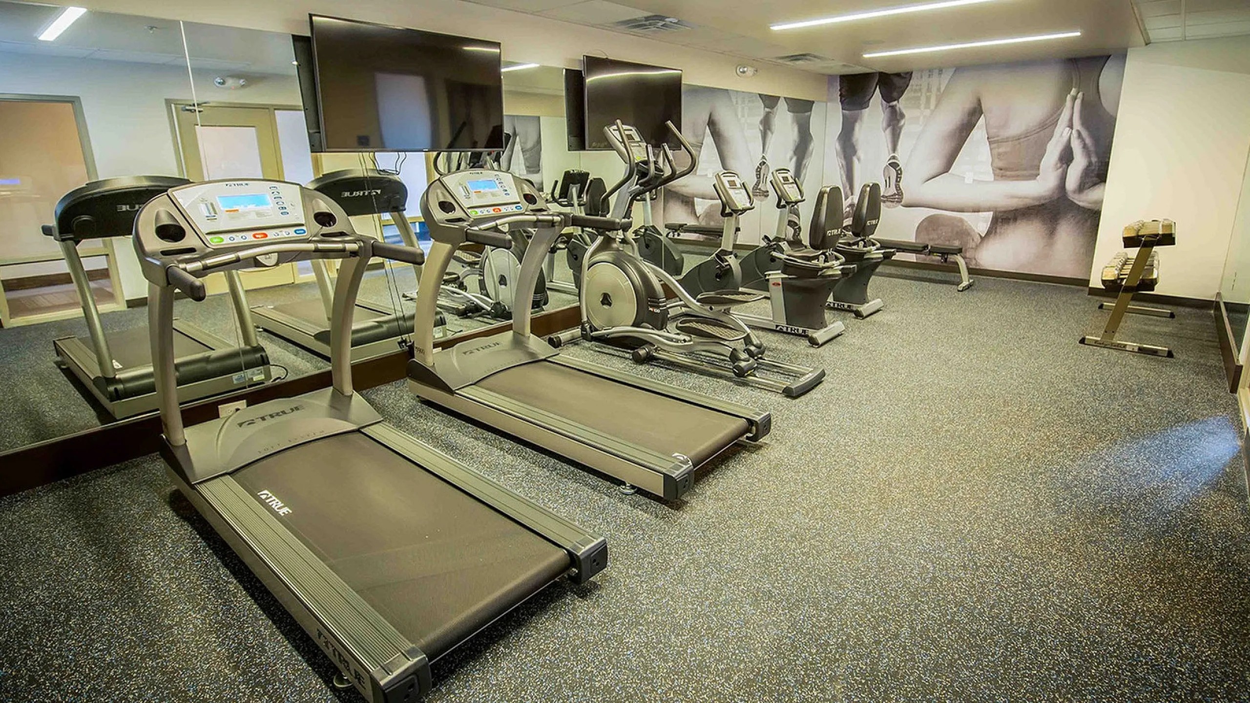 Modern apartment gym featuring state-of-the-art treadmills and exercise bikes in a sleek, well-lit space.