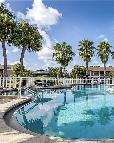 Luxurious outdoor swimming pool surrounded by palm trees and elegant lounging chairs, offering a tropical retreat ambiance.