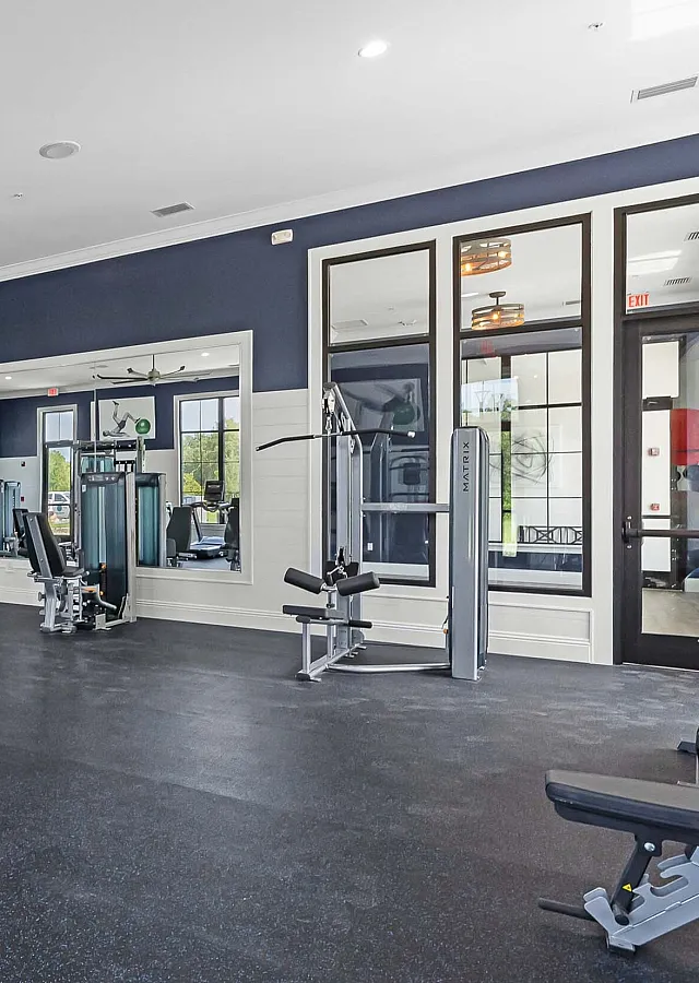 Modern, spacious gym facility with state-of-the-art fitness equipment and large windows inviting natural light.