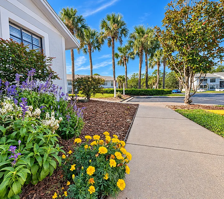 Freshly painted gray and white apartments beside a landscaped walkway and palms at Willow Lake Crossing.