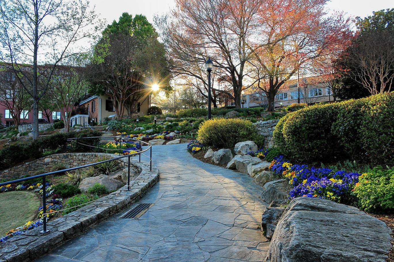 Senior Activities in Greenville-image