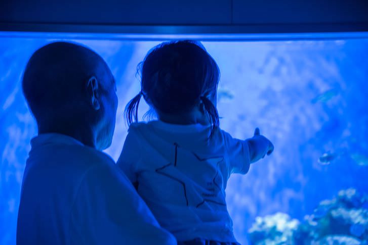 Top Family Friendly Day Trips in Southern California-image