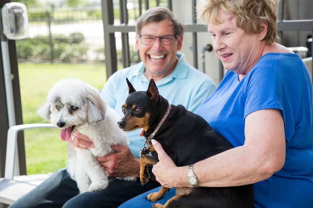 Time for a Change: A Dog's Perspective on Right-Sizing-image