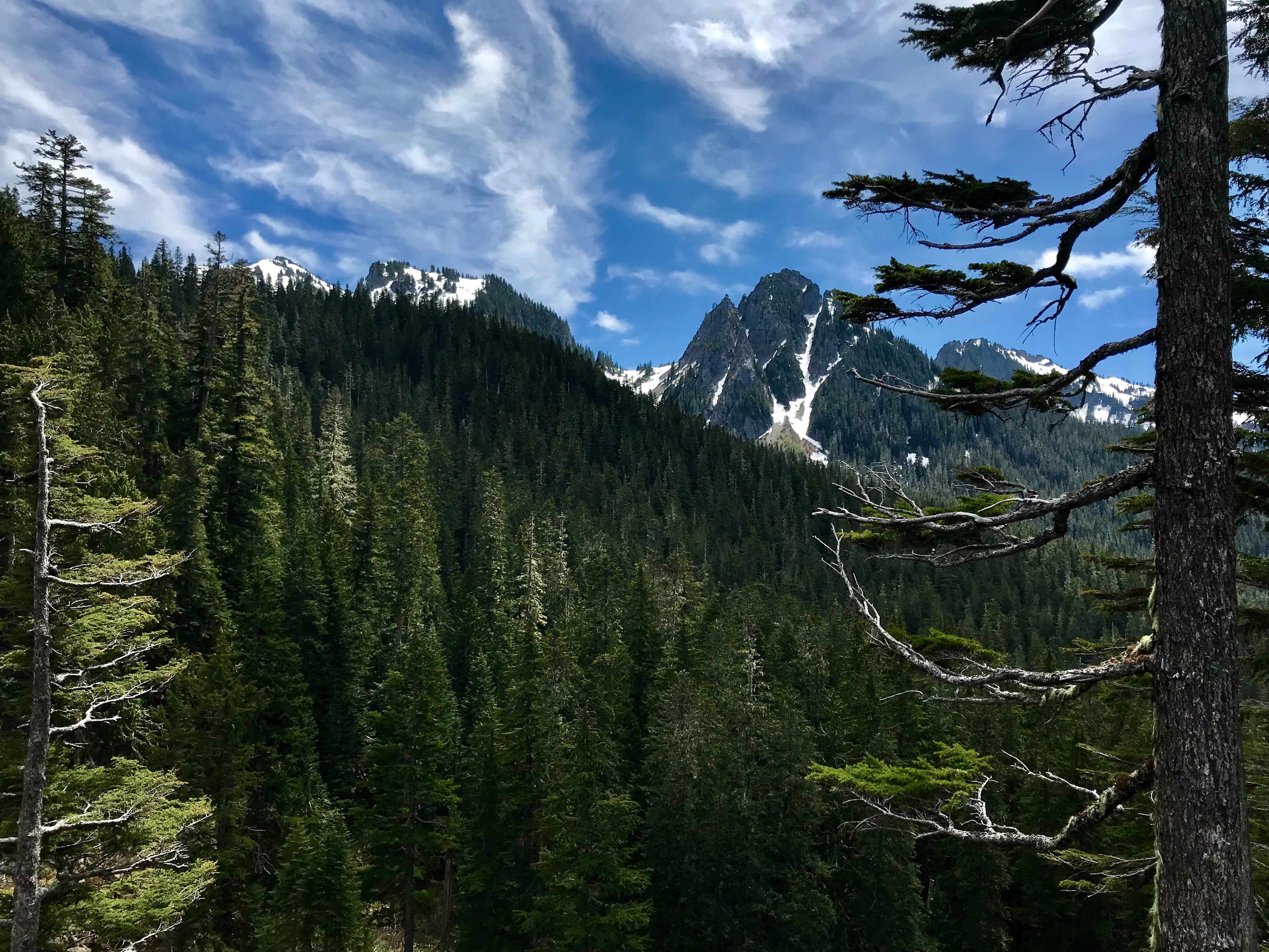 Top Scenic Day Trips from Seattle for Active Older Adults-image