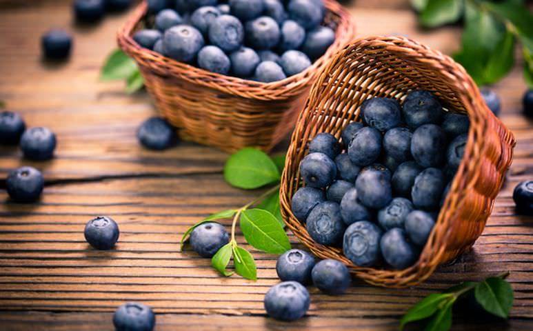 Foods that Boost Brain Health-image