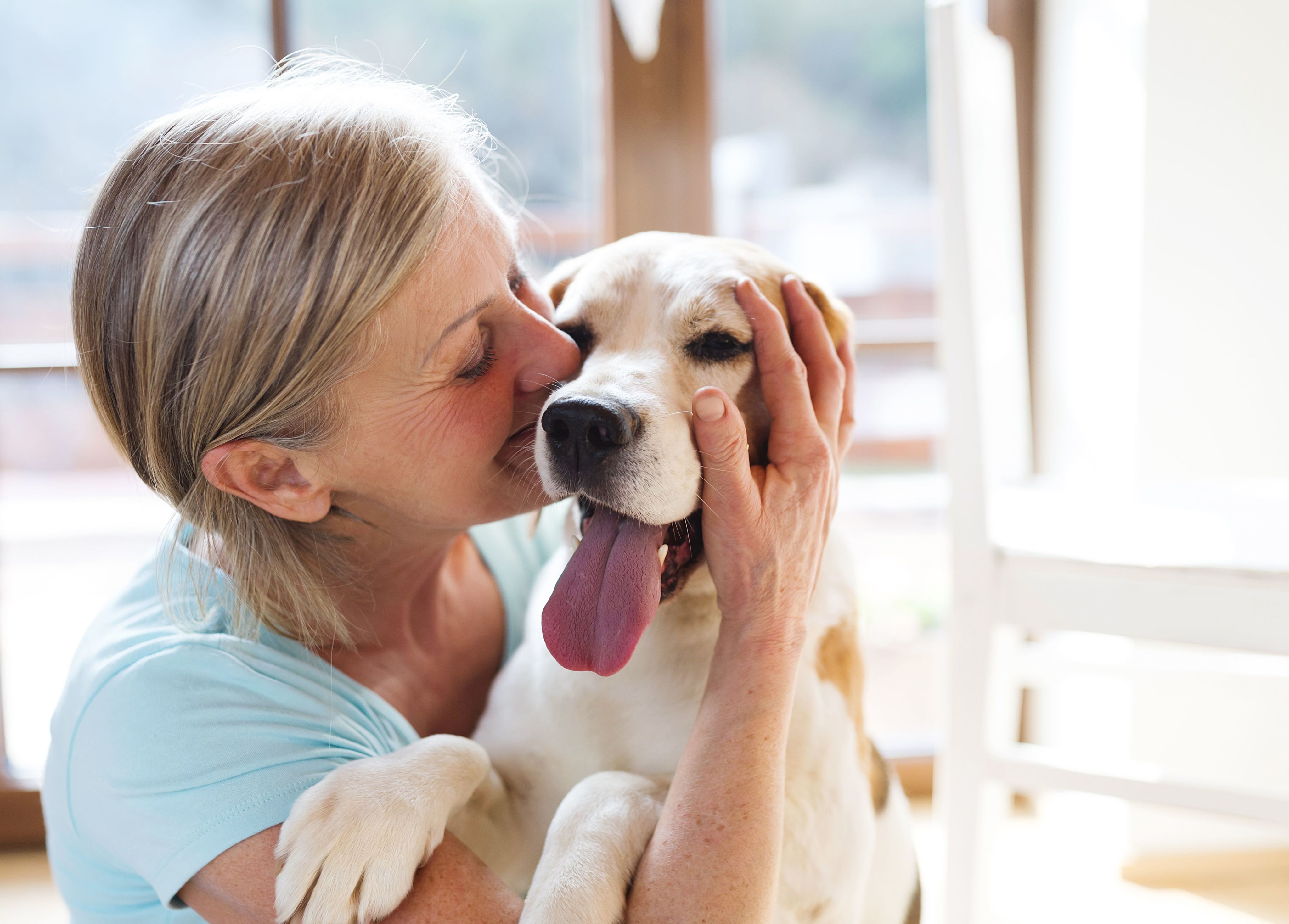 Why Choose an Emotional Support Dog-image