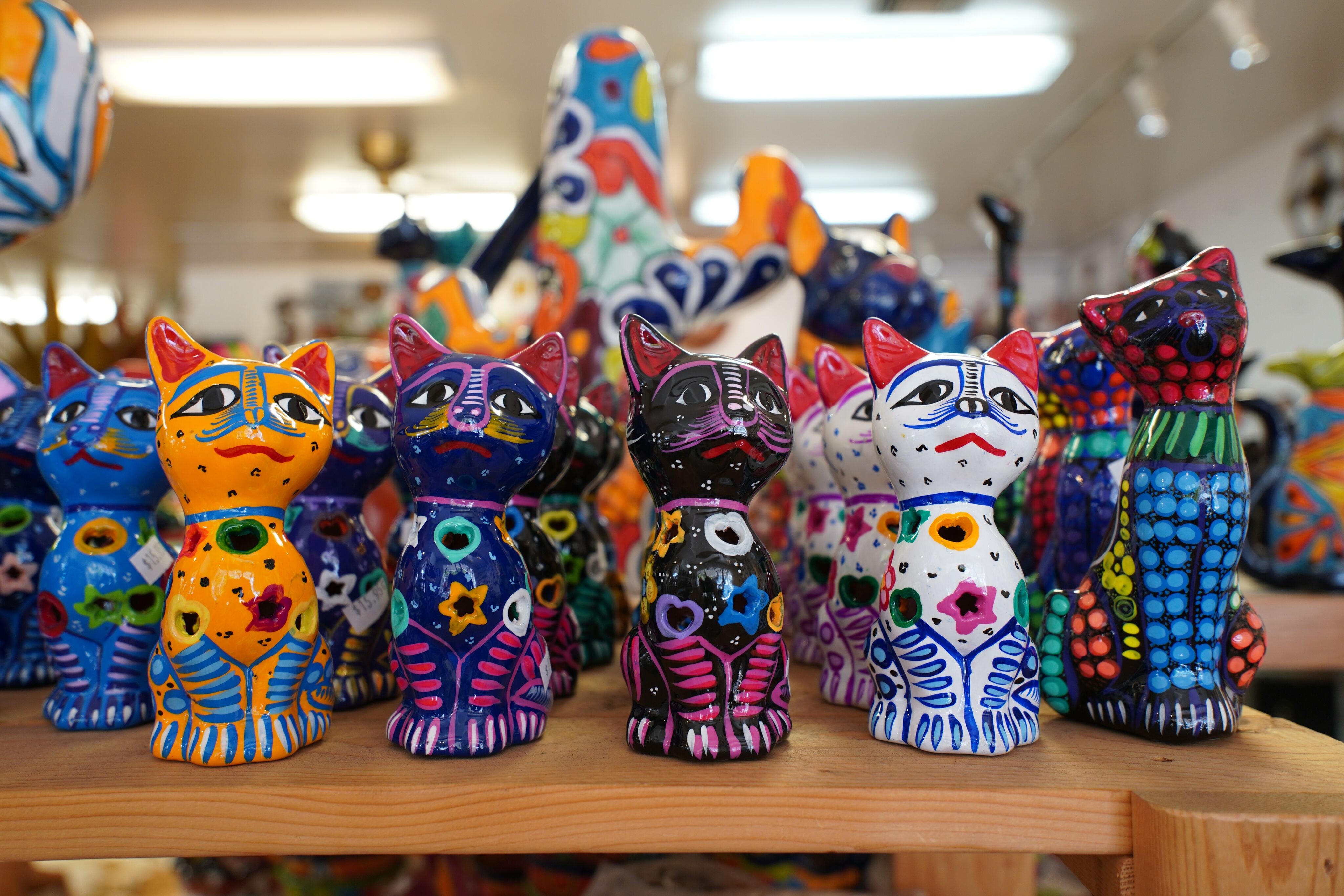 Albuquerque's Senior Art Scene: Exploring Galleries and Studios-image