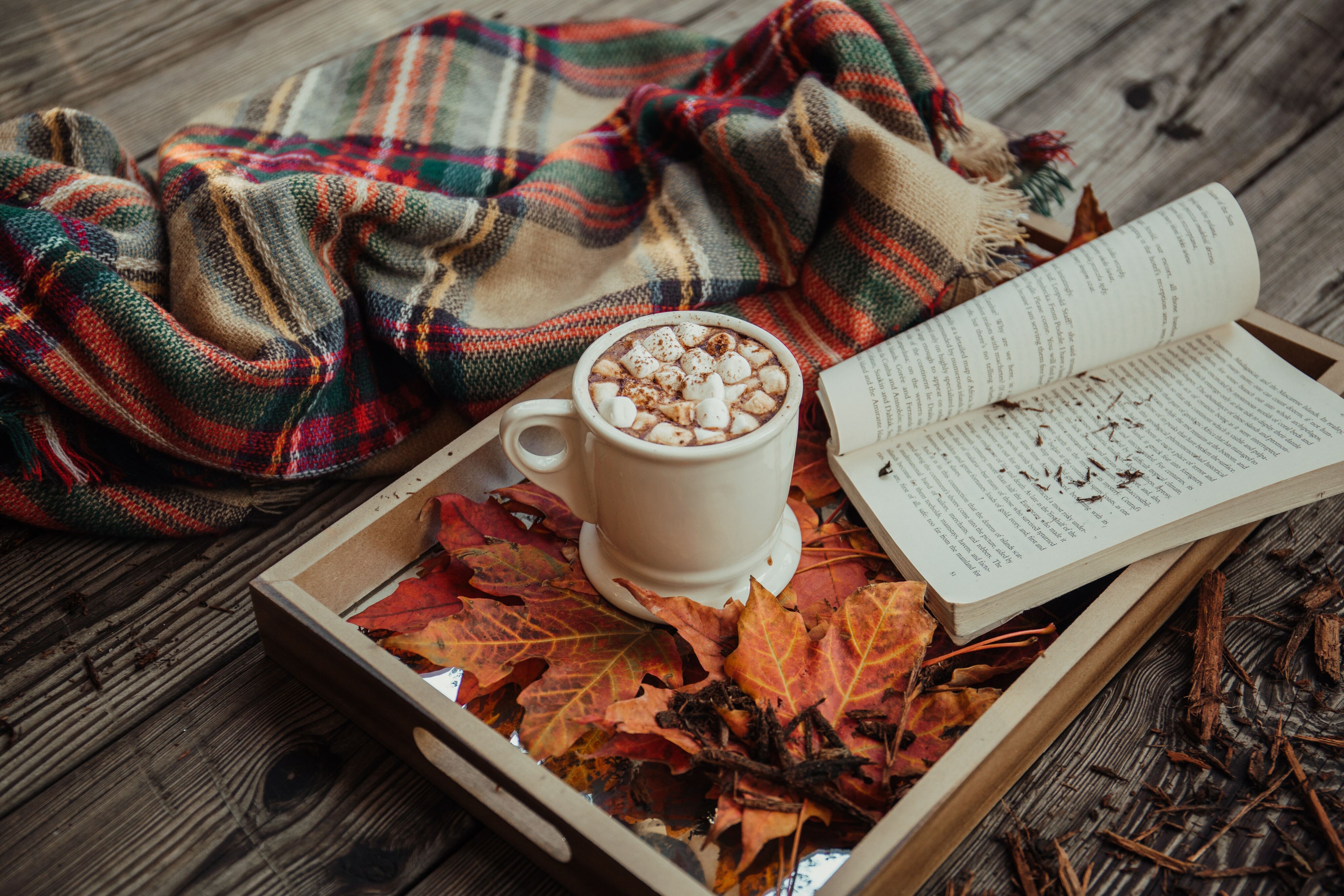 Fall Decorating Ideas: Making Your Senior Apartment Cozy for Autumn-image