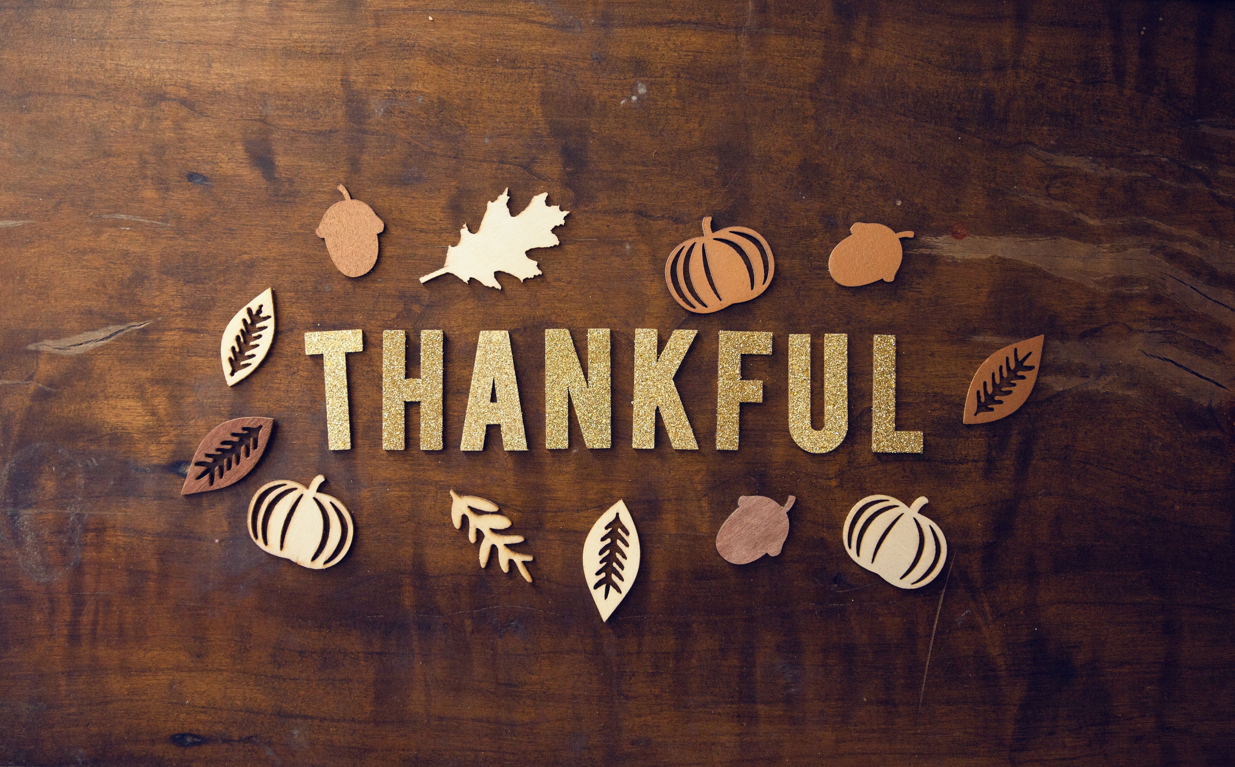 Celebrating Gratitude: Ways Seniors Can Foster a Thankful Spirit-image