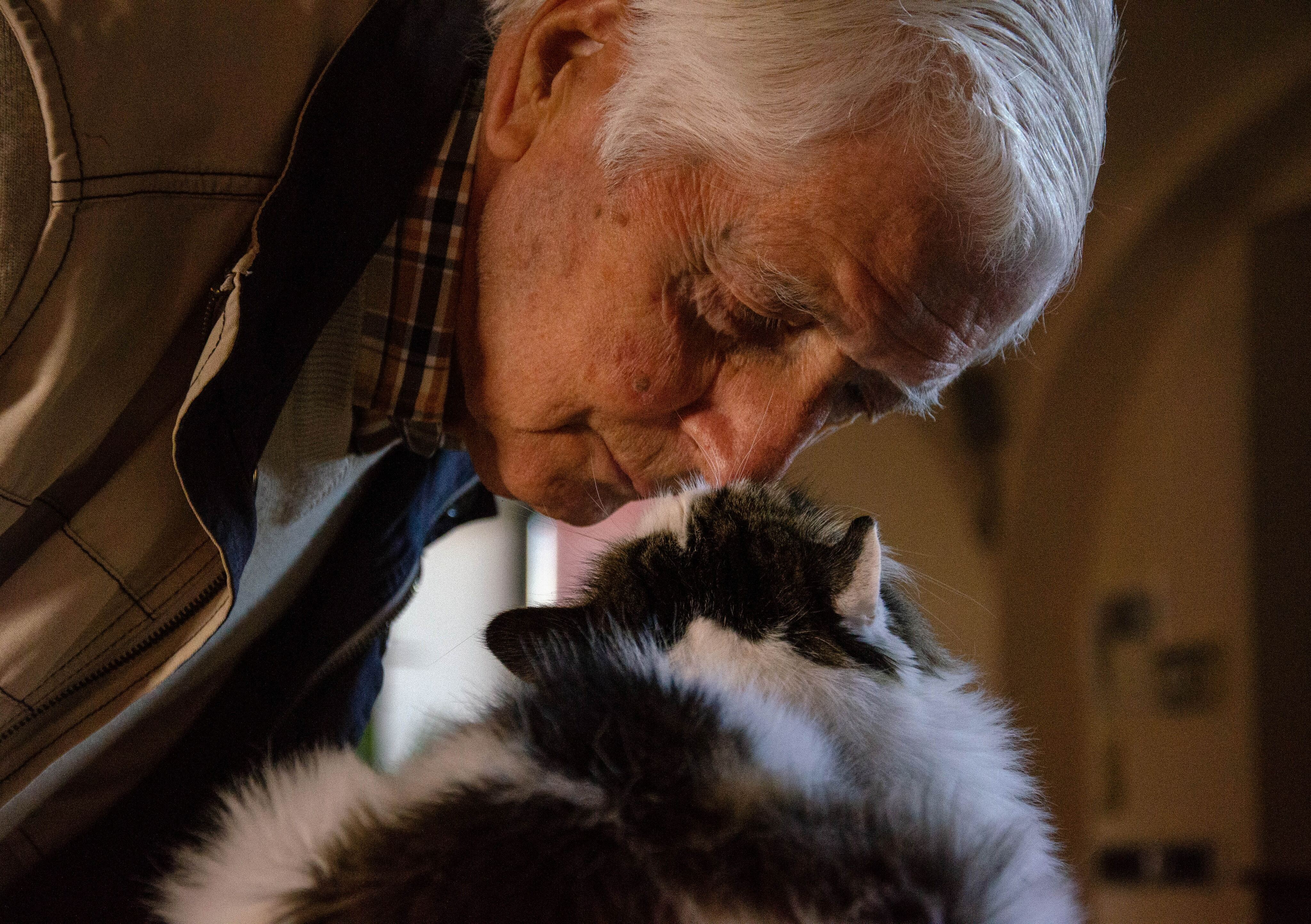 Pet-Friendly Living: The Benefits of Companionship in Senior Years-image