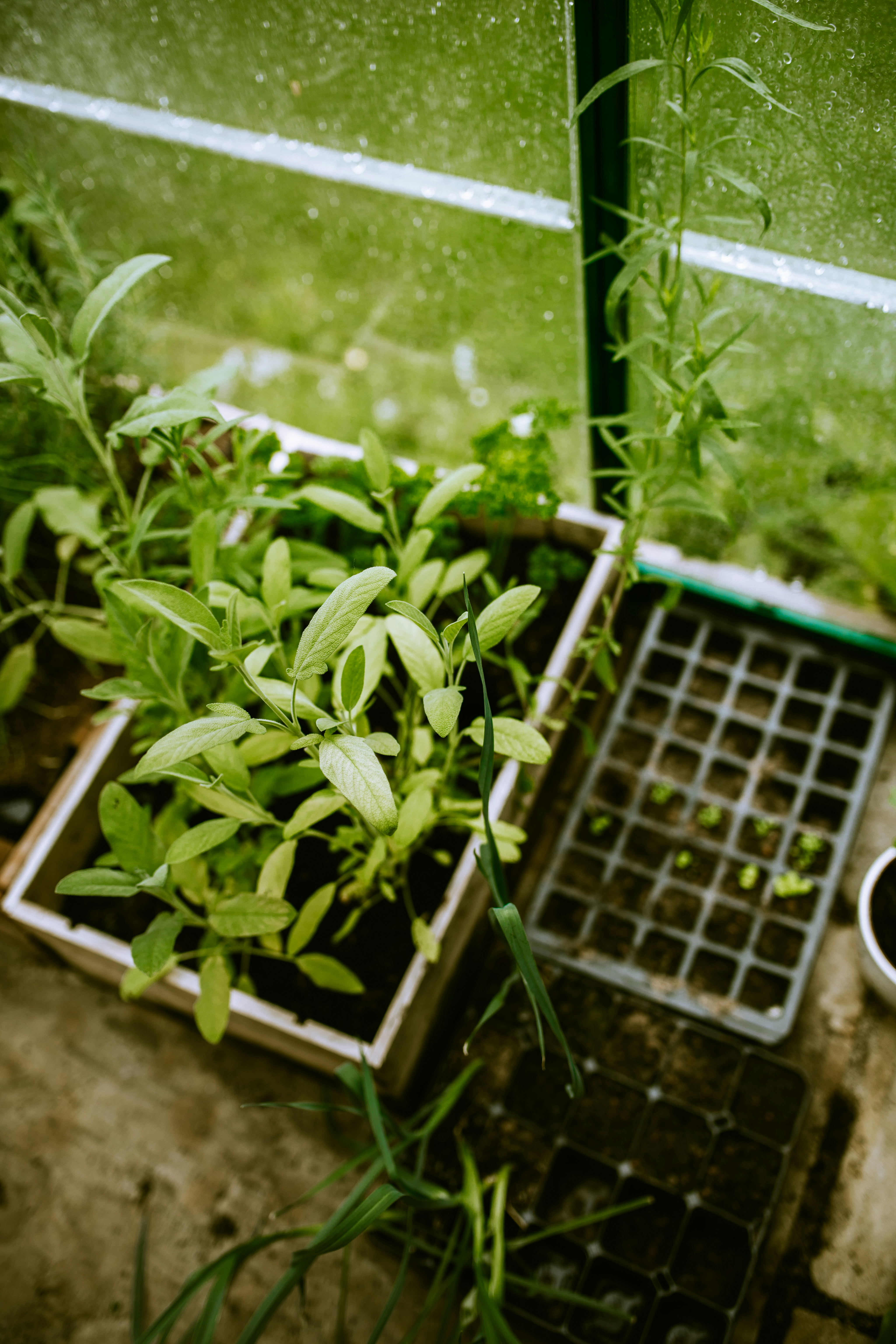 Creating a Wildlife-Friendly Patio Garden-image