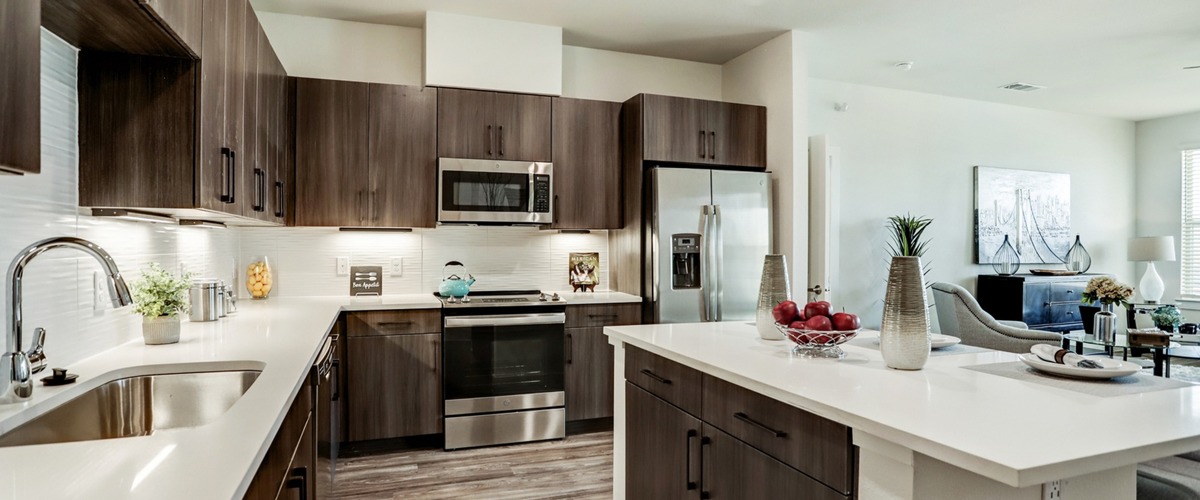 Modern Kitchen