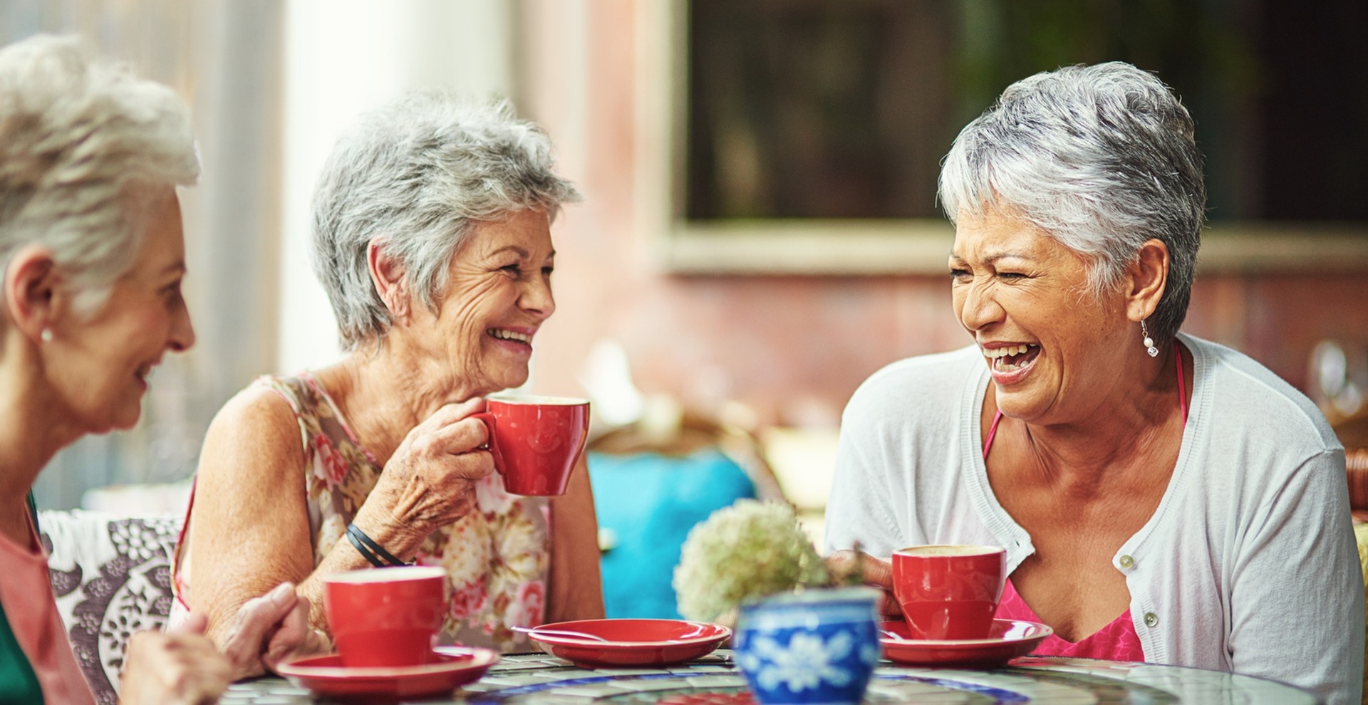 Residents Playing with their Pets