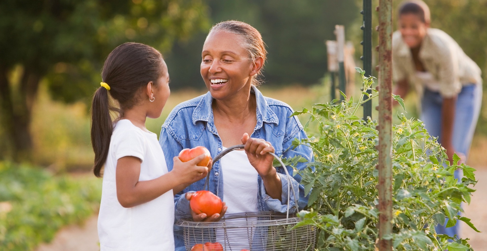55+ Senior Picking Apples with Granddaughter