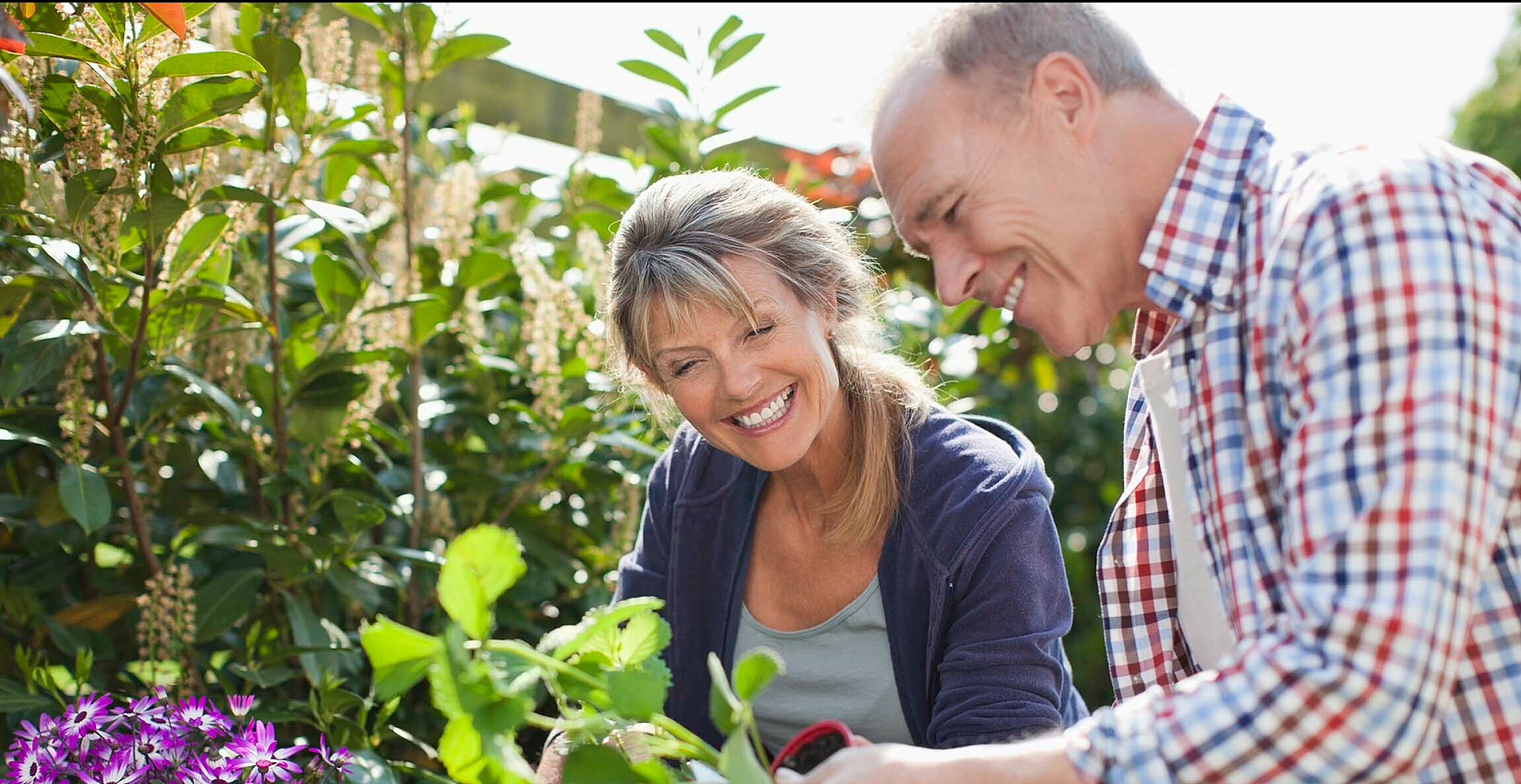 couple gardening