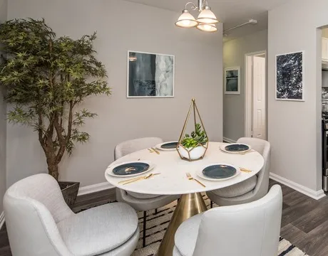 Dining | Gallery on New Hampshire Apartments in Adelphi