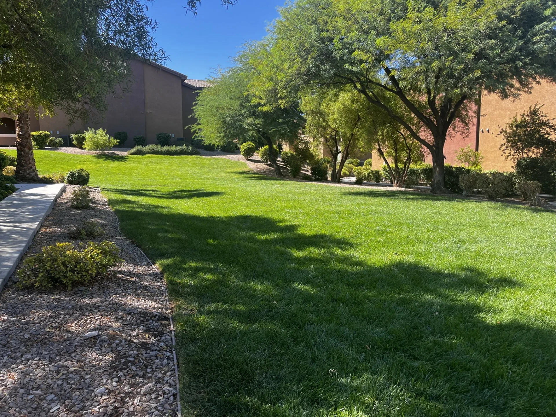 Grassy Area