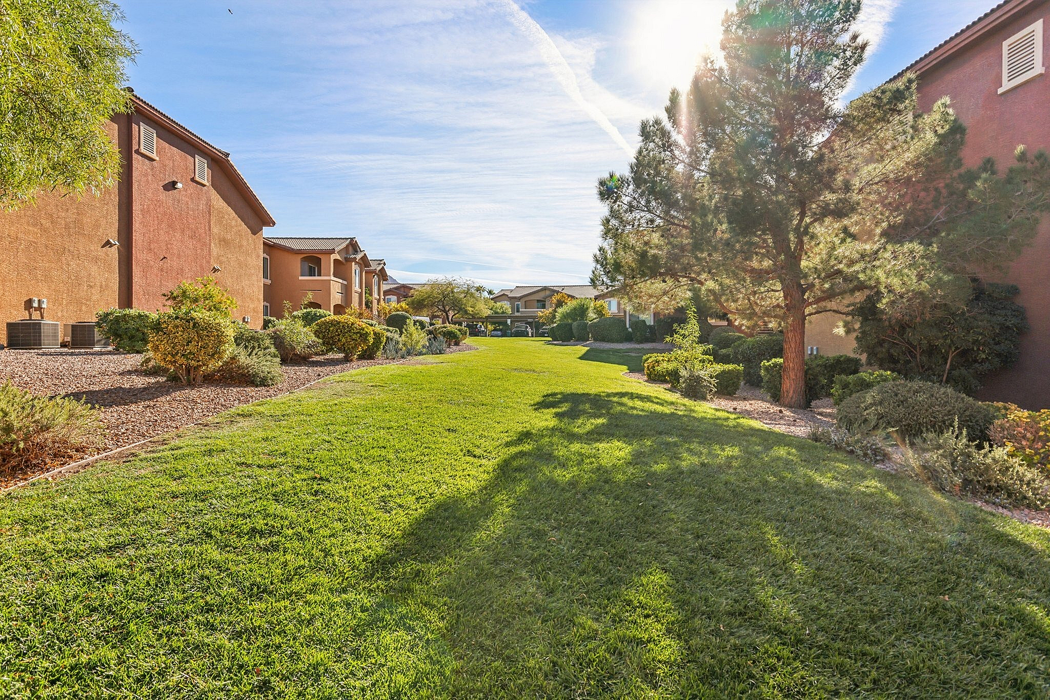 Grassy Area