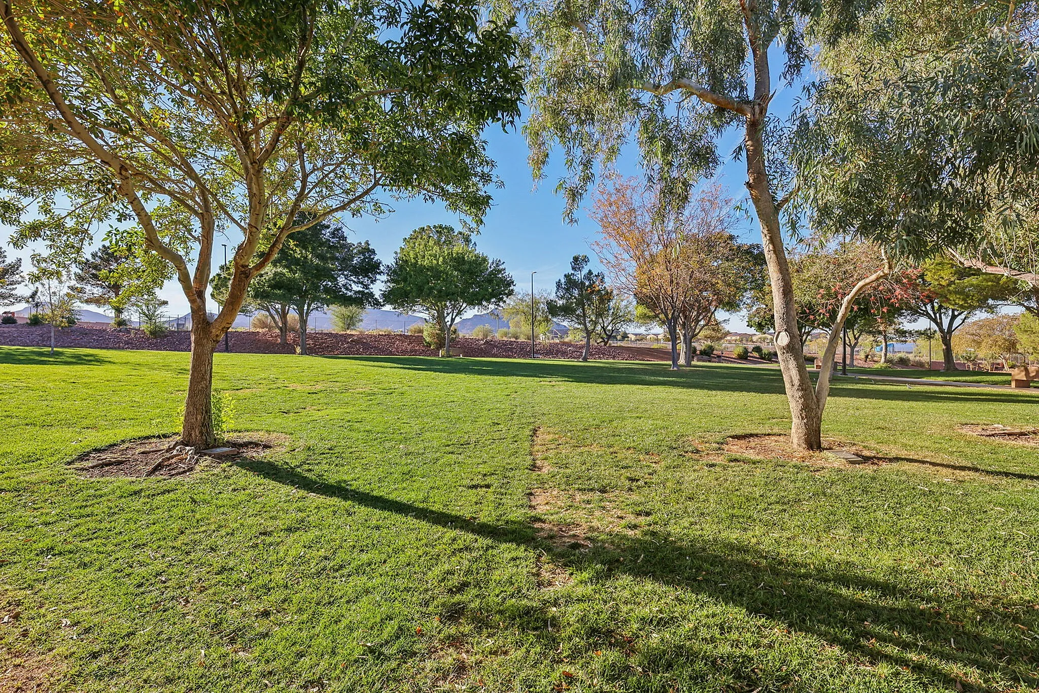 Neighborhood Park (Mission Hills)