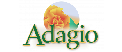 Adagio Apartments