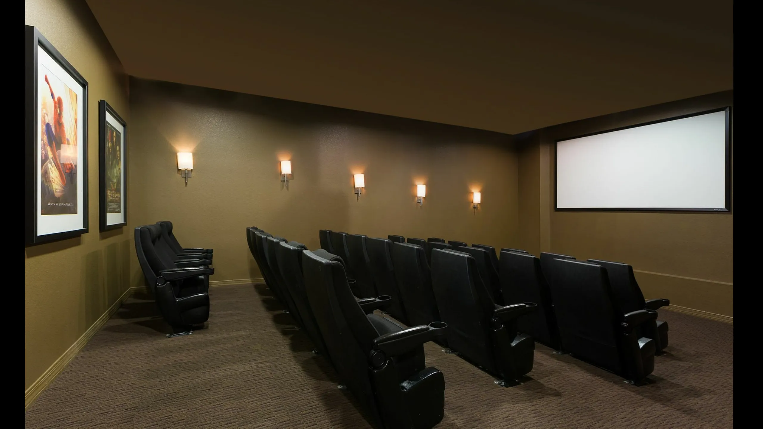 Theatre Room
