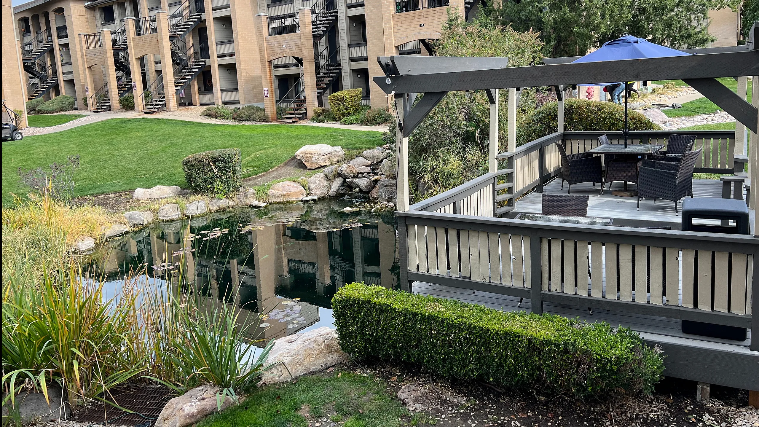 Pond