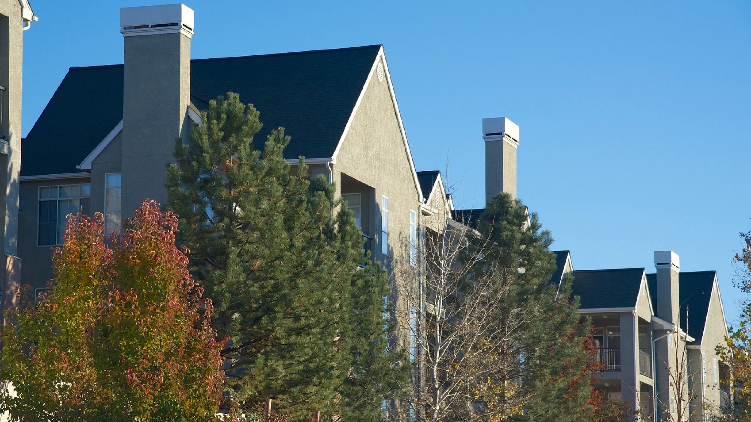 Elegant apartment buildings with chimneys surrounded by lush trees under a clear blue sky.