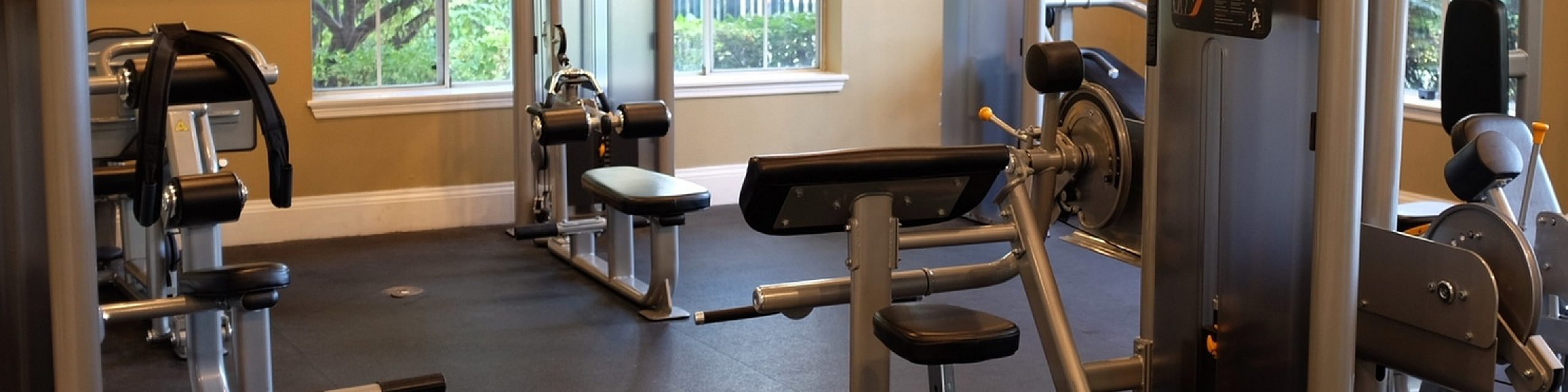 Bright and modern fitness room with high-end exercise machines and large windows.