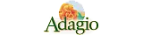 Elegant Adagio logo featuring a stylized orange rose alongside artistic text.