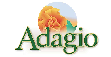 Vibrant Adagio logo with a blooming orange rose.