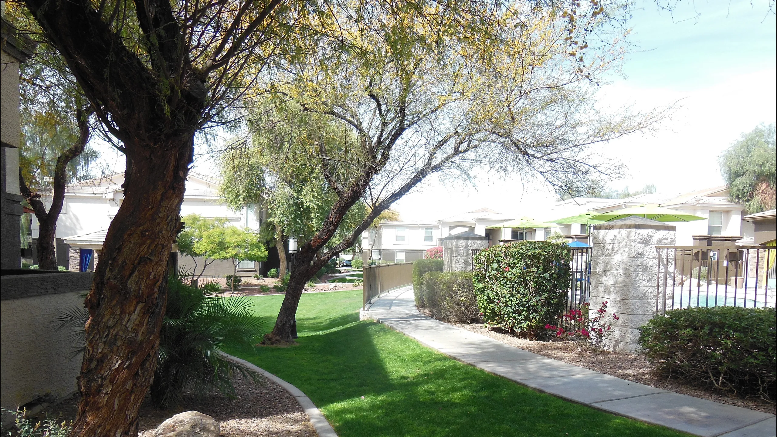Charming apartment community with lush green lawns, scenic trees, and a welcoming walkway in a serene neighborhood setting.