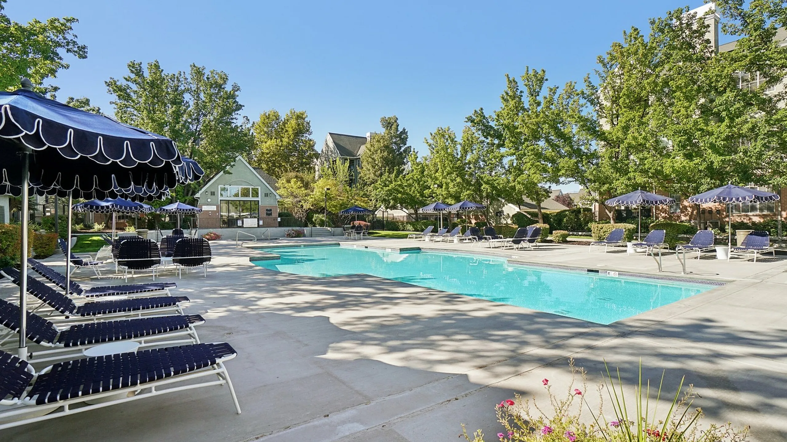 Charming outdoor swimming pool surrounded by elegant lounge chairs and lush greenery, perfect for relaxation and leisure.
