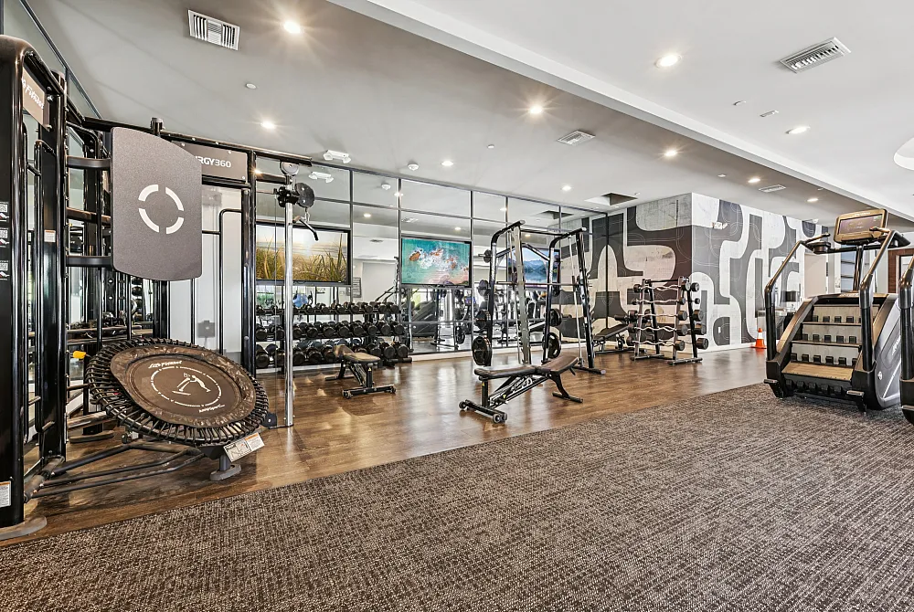 Full updated gym