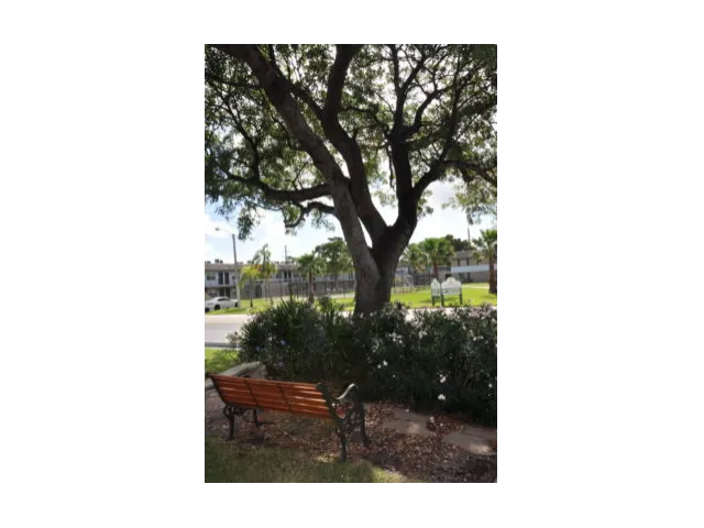 Image of Meditation Garden for Pompano Palms Apartments
