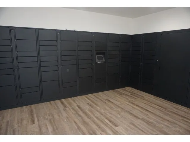 Image of Luxer One Package Room for Royal Palms Apartments