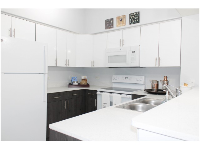 Image of Quartz Countertops and Two Toned Cabinetry* for Miami Riverfront Residences