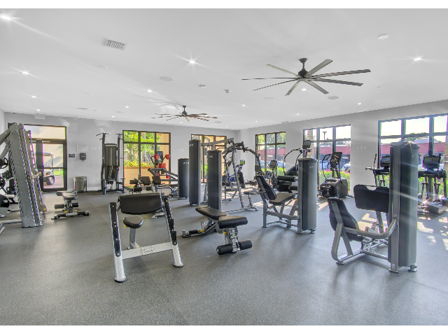 Aventura Harbor Apartments, interior, fitness center, weight machines, treadmills, elliptical, large window view of pool