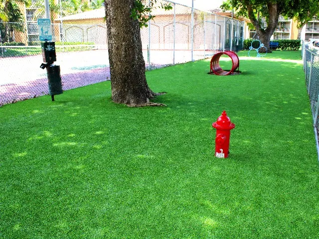 Fully Equipped Bark Park