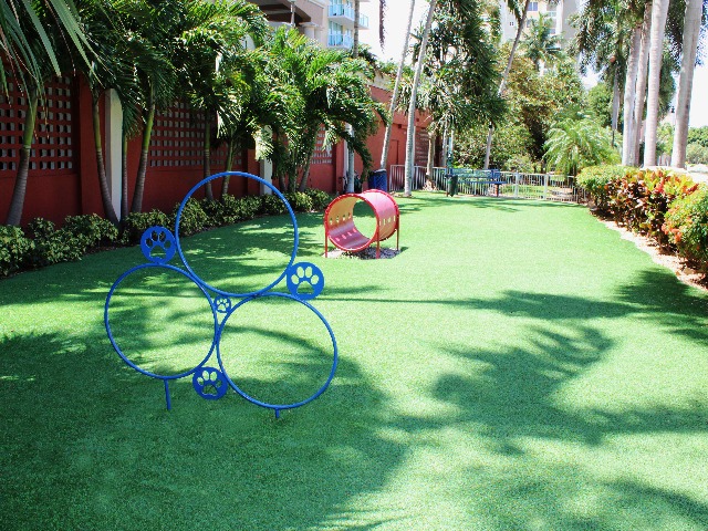 Bark Park