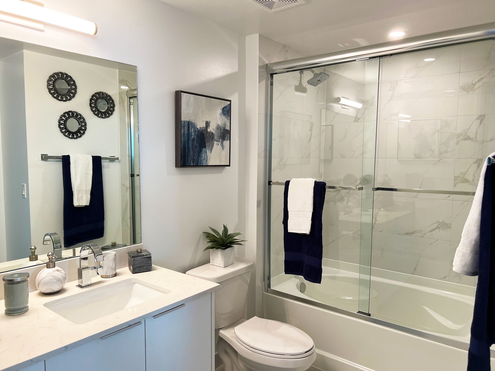 Frameless Glass Shower Enclosures and Deep Soaking Tubs