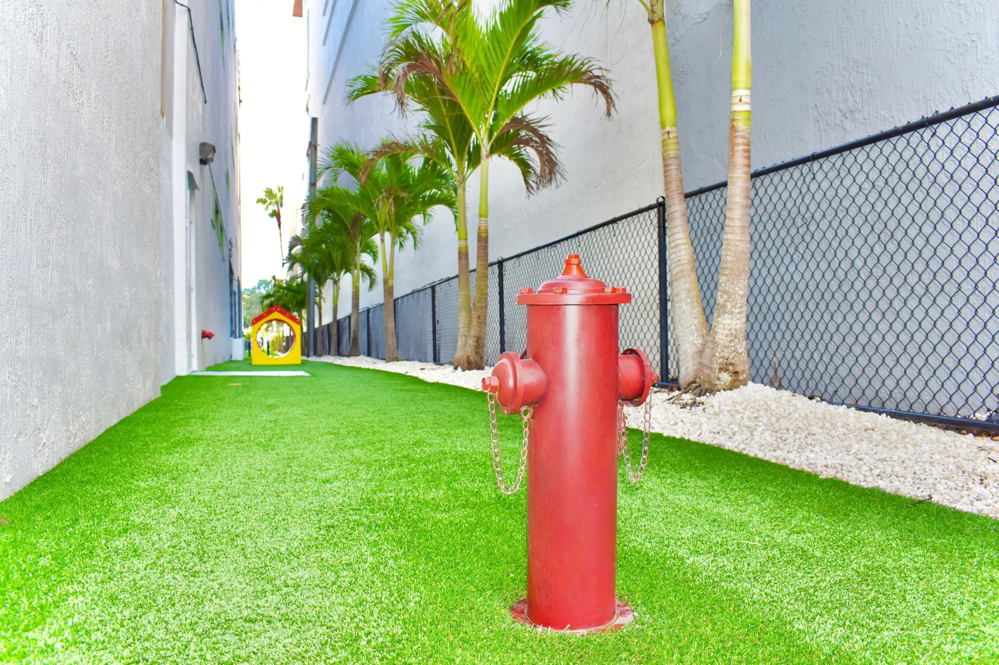 Fully-Equipped Dog Park