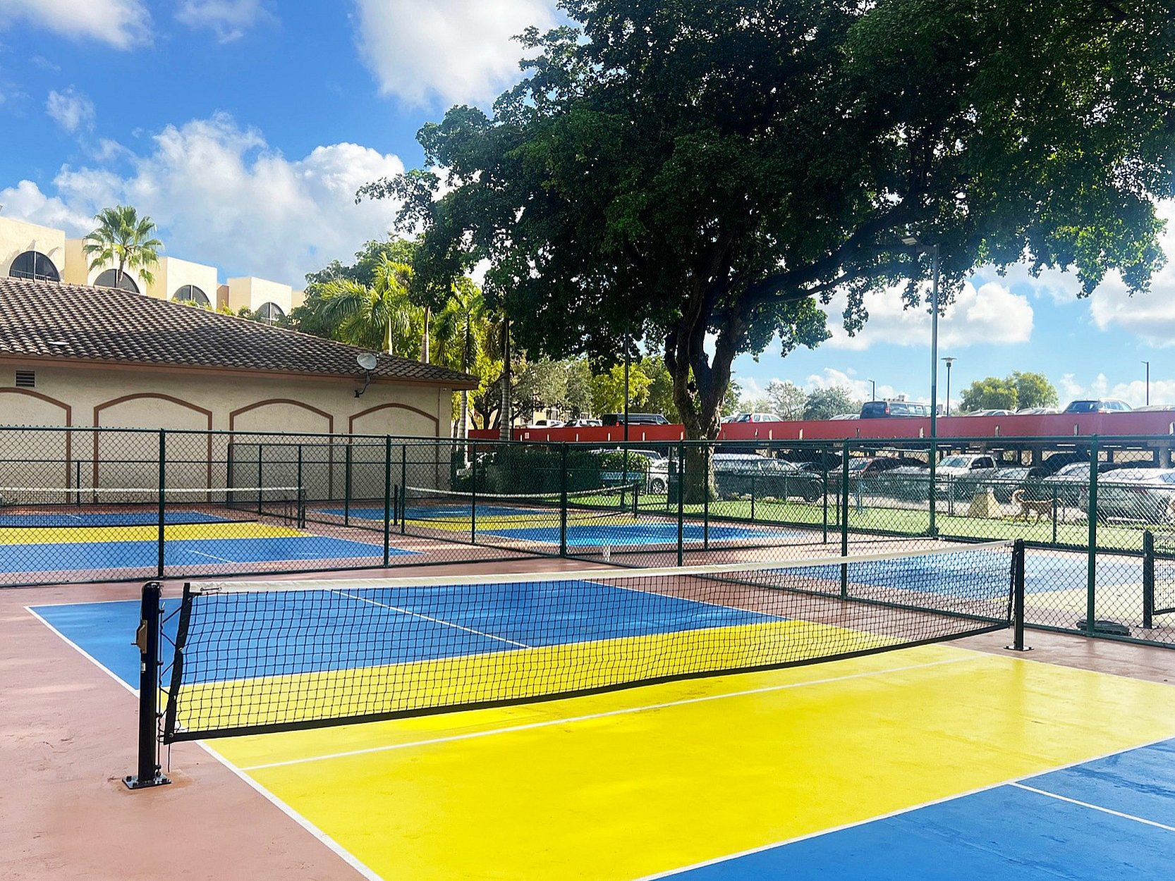Vibrant outdoor pickleball court with colorful blue and yellow flooring, surrounded by lush green trees and a sunny sky.