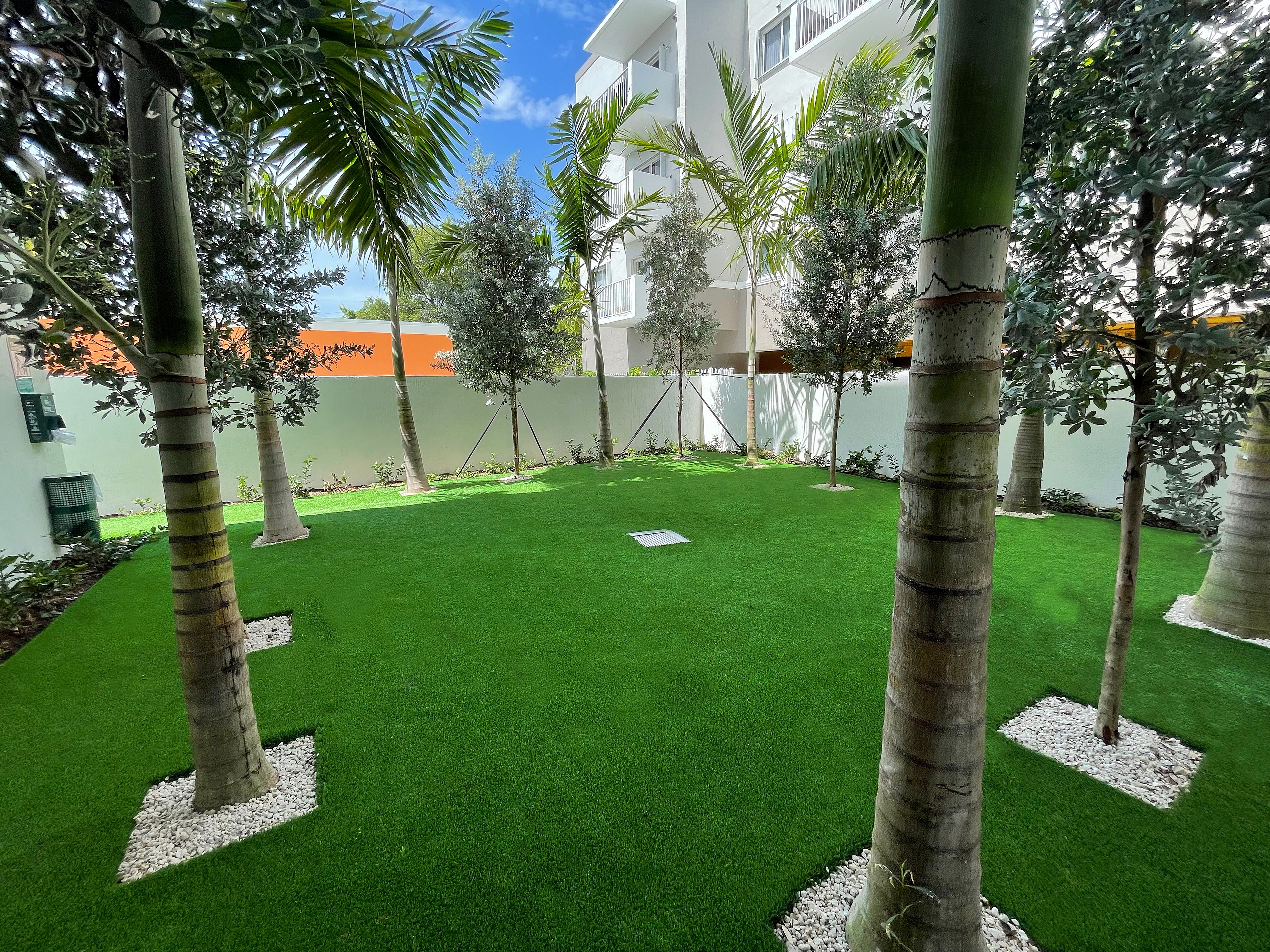 Lush green courtyard with neatly planted palm trees, creating a tranquil outdoor space in a modern apartment complex.